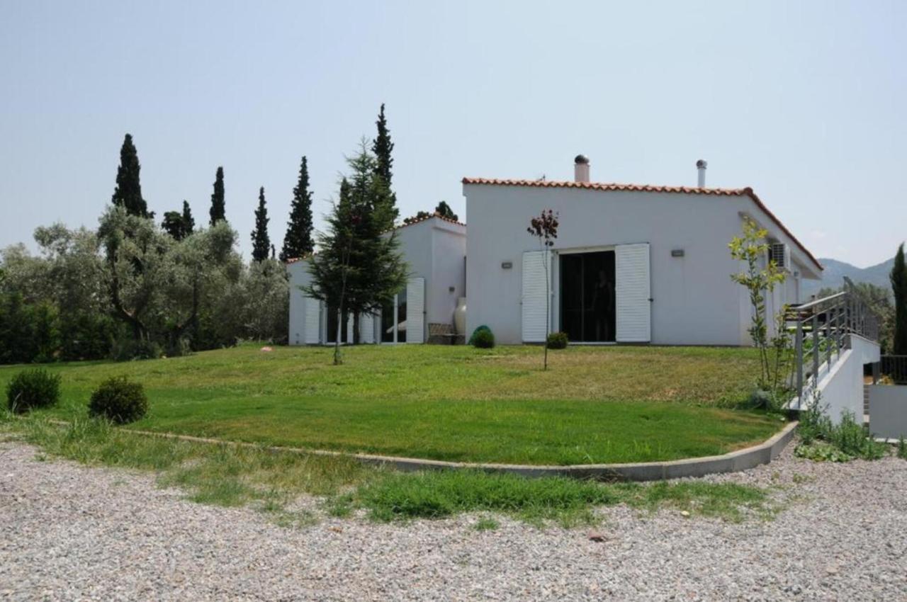 Luxurious 6 Bedroom Villa In A Great Location Chalkís Kültér fotó